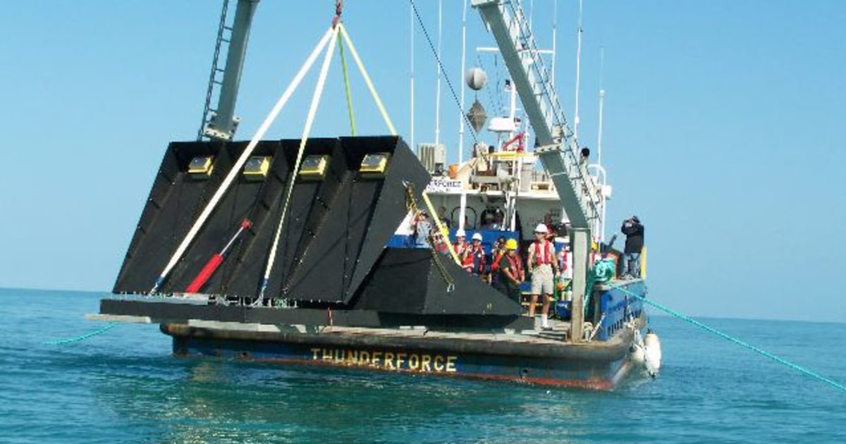 Wing Waves tap motion of the ocean
